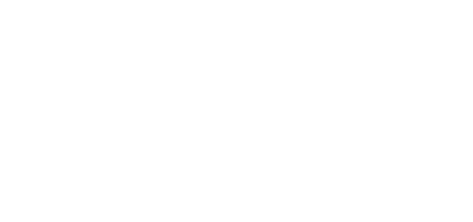 Delft University of Technology